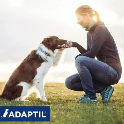 ADAPTIL® Calm-halsbånd til hunde