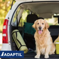 ADAPTIL® Transportspray