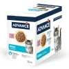 Advance Kitten Kalkun