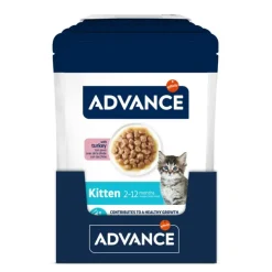 Advance Kitten Kalkun