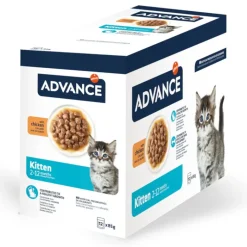 Advance Kitten Kylling