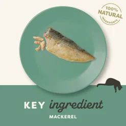 Applaws Cat Mackerel Loin