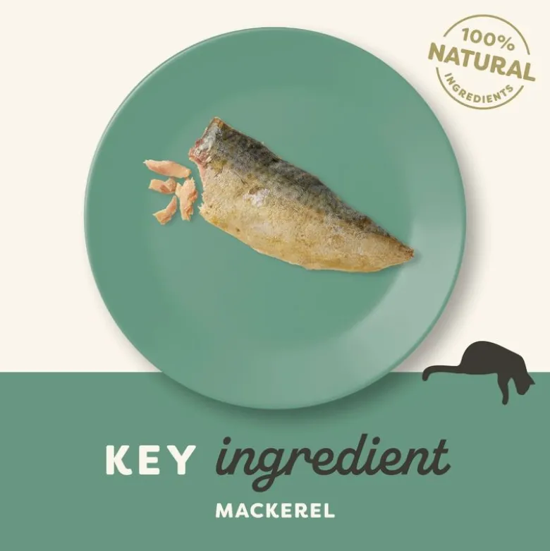 Applaws Cat Mackerel Loin