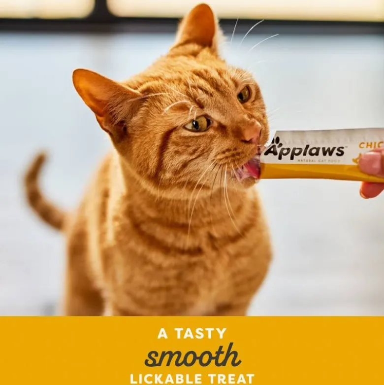Applaws Creamy Treat 8 x 15 g