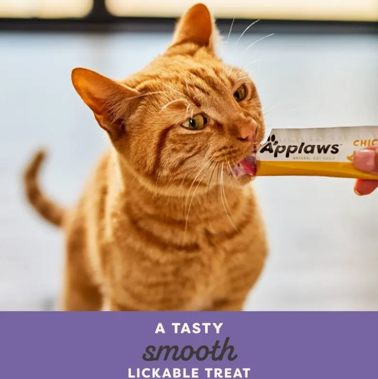 Applaws Creamy Treat 8 x 15 g