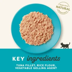 Applaws Kitten dåser i gelé 6 x 70 g