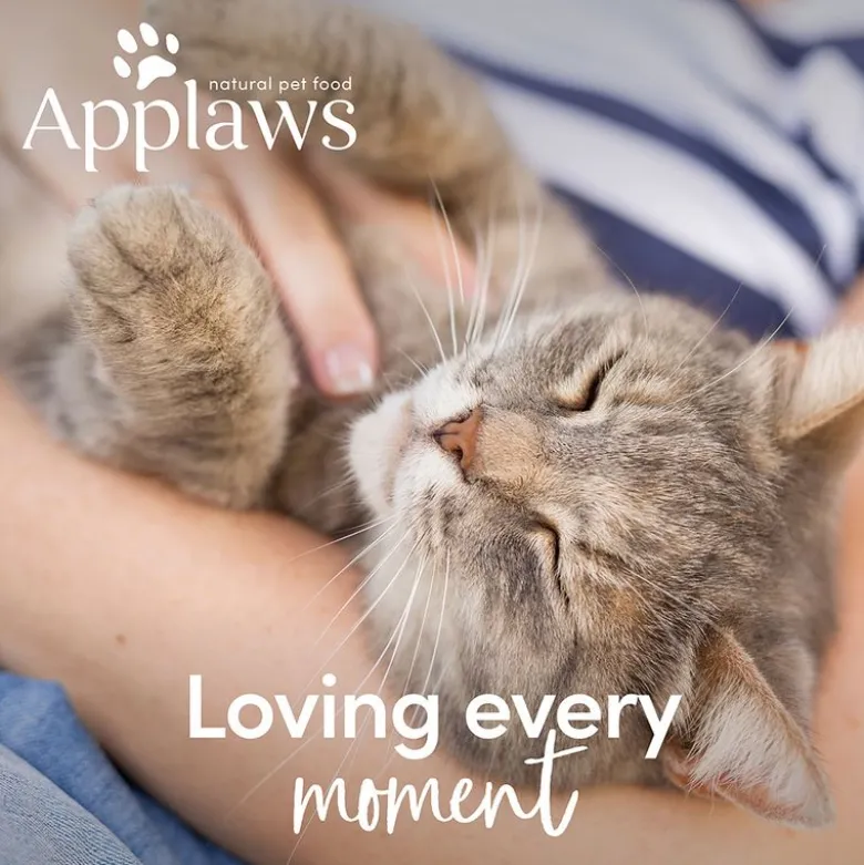 Applaws Senior 12 x 70 g