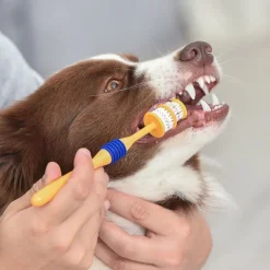 Arm & Hammer tandplejesæt til hunde