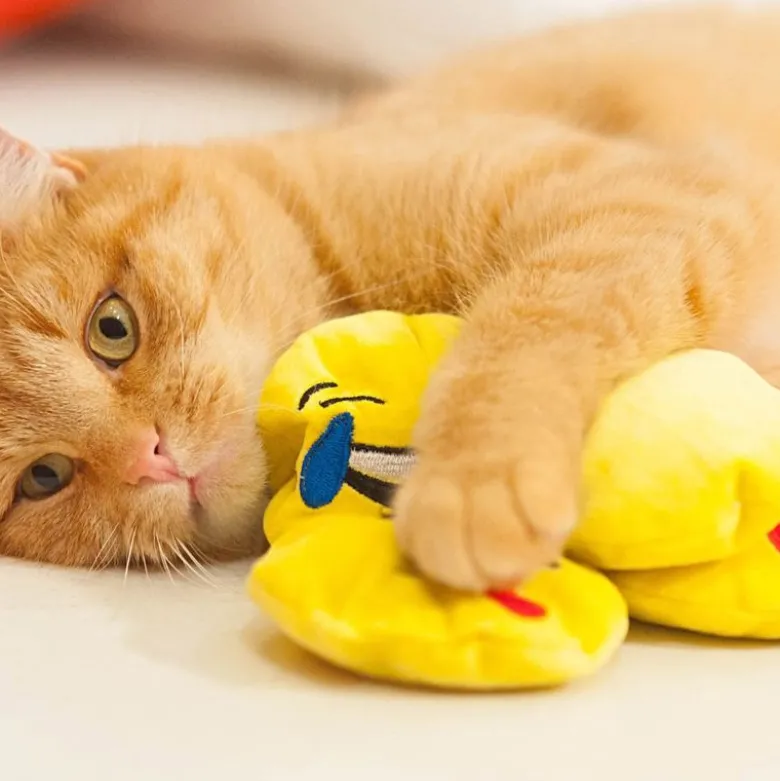 Aumüller Kattelegetøj Baldrianpude Emojis