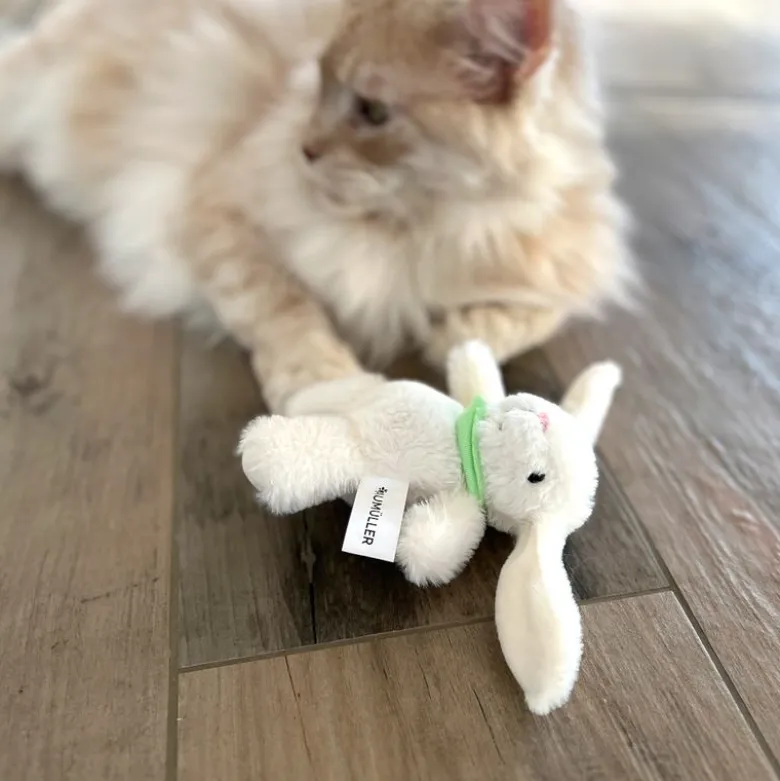 Aumüller kattelegetøj Hoppelhase Harry