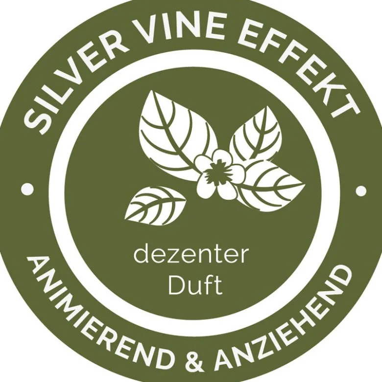 Aumüller Kattesticks Silver Vine