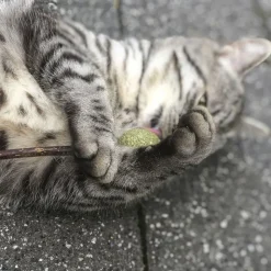 Aumüller Silver Vine Tandpleje-Lolli