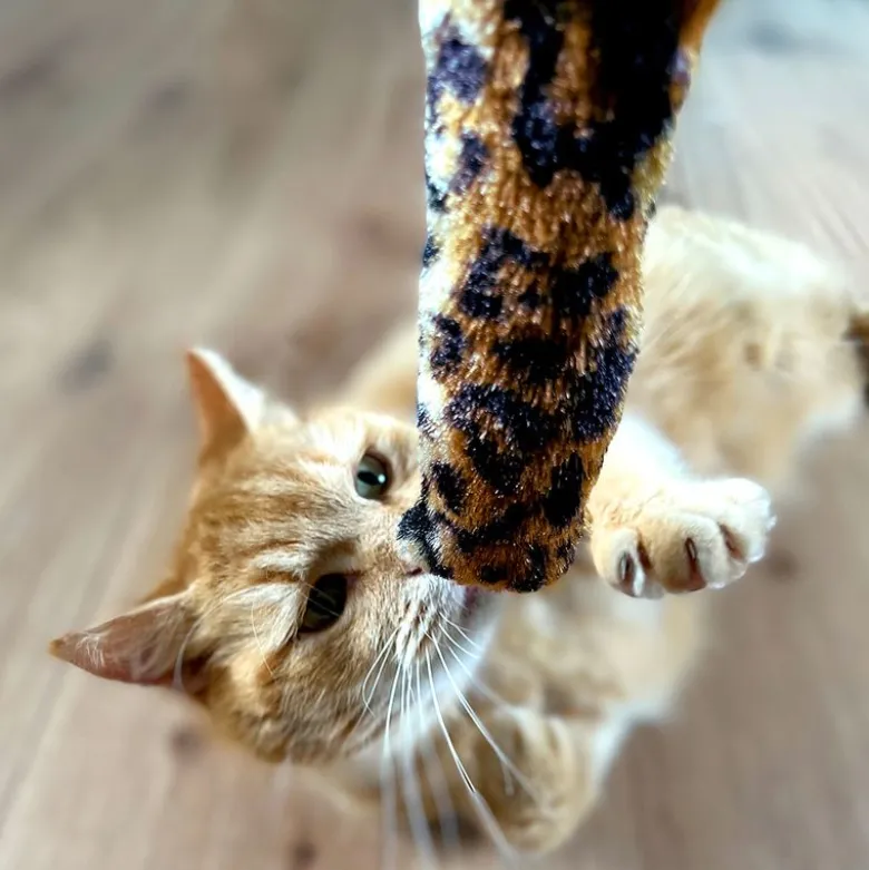 Aumüller Welli-Sticks Tiger