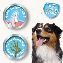 Beaphar Tandpleje Sticks