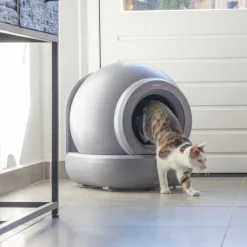 beeztees automatisk kattetoilet Moeza
