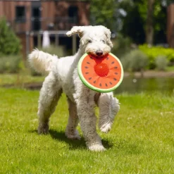 Beeztees hundelegetøj melon Spikie, rød