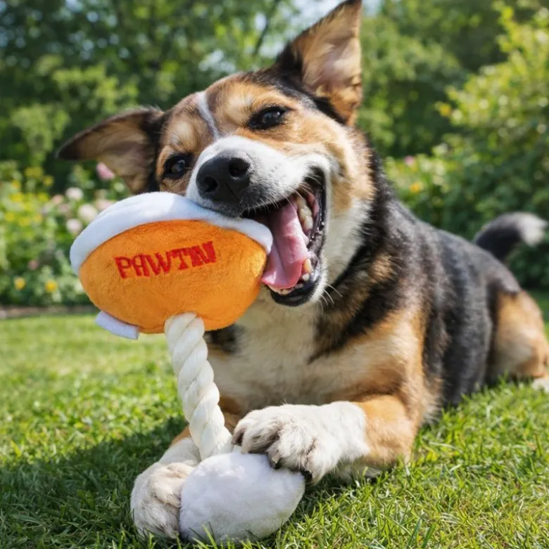 Beeztees hundelegetøj Pawtini, orange/hvid