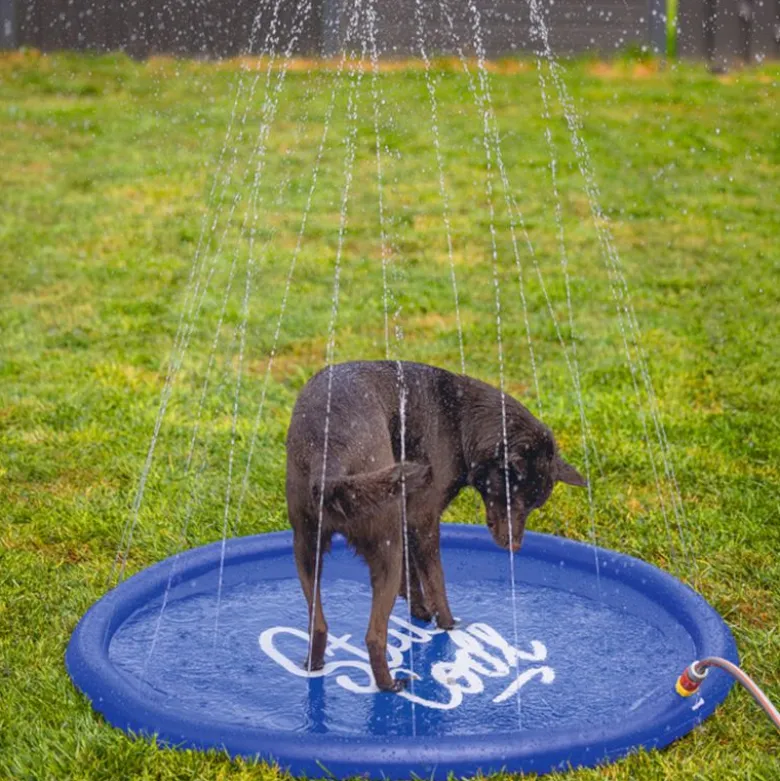 Beeztees sprinklermåtte Stay Cool, blå