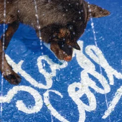 Beeztees sprinklermåtte Stay Cool, blå
