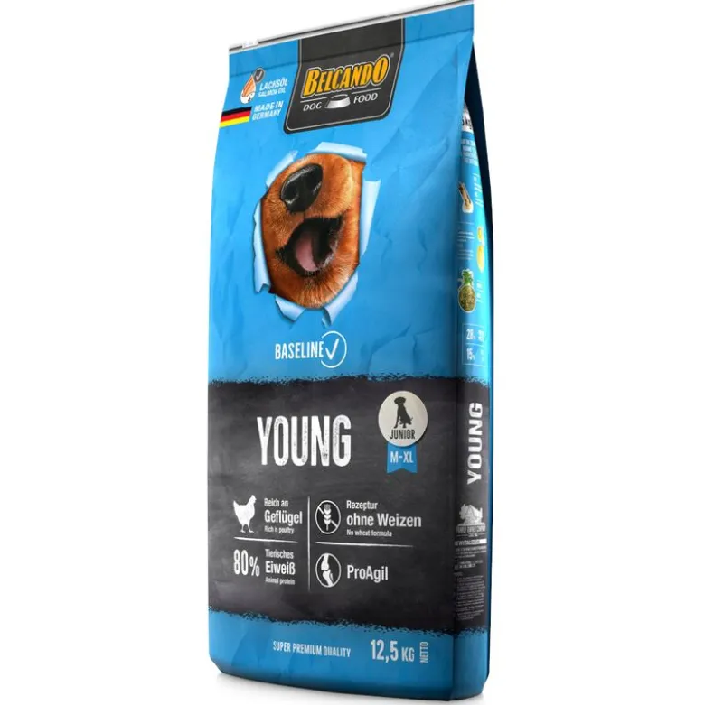 Belcando Baseline Young