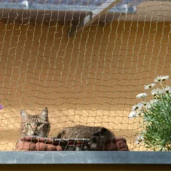 Bidefast sikkerhedsnet til katte med trådforstærkning