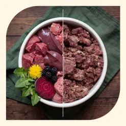 Blandet pakke: animonda GranCarno Adult Single Protein Superfoods
