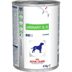Blandet pakke: Stor pose Royal Canin tørfoder + 12 dåser vådfoder