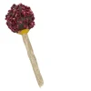 Blue Tree Cheesie Pop Hindbær Kokosnød