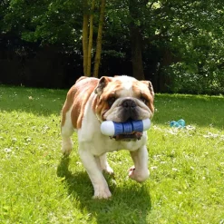 Bobby hundelegetøj Cubitus