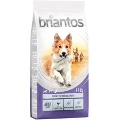 Briantos Adult Active Kylling & Ris