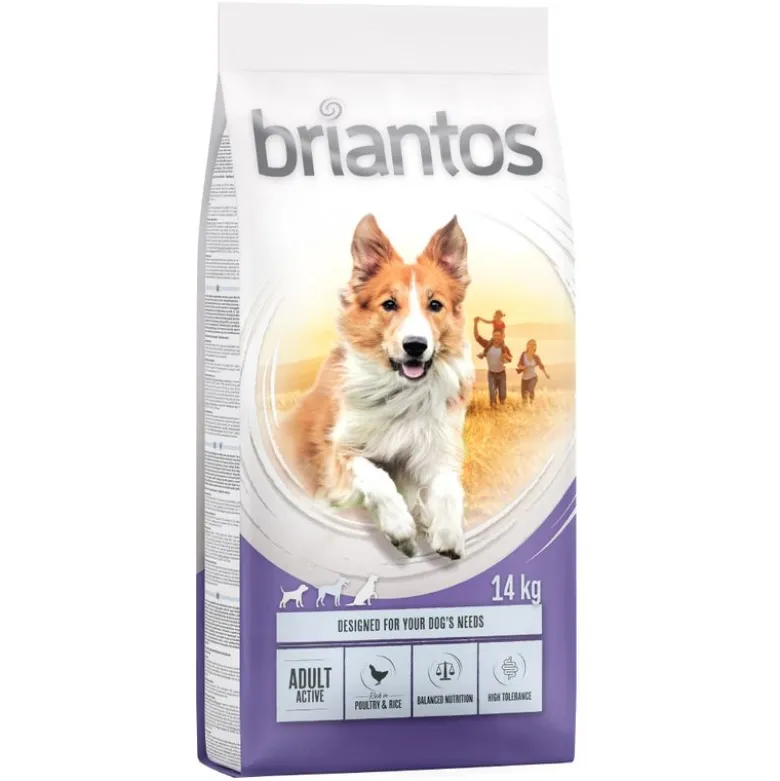 Briantos Adult Active Kylling & Ris