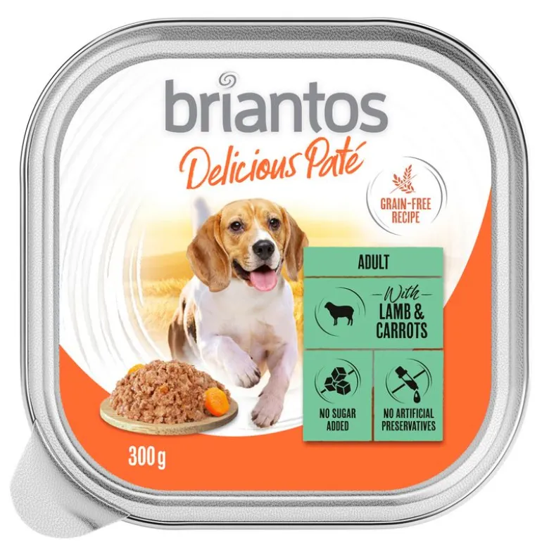 Briantos Delicious Paté 27 x 300 g