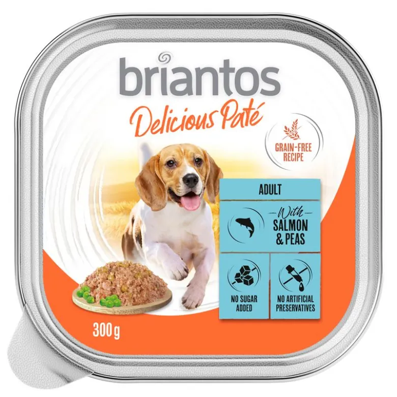 Briantos Delicious Paté 27 x 300 g