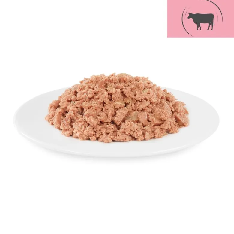 Briantos Delicious Paté 12 x 100 g