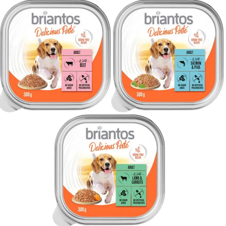 Briantos Delicious Paté 9 x 300 g