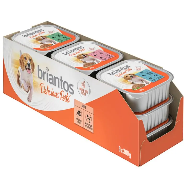 Briantos Delicious Paté 9 x 300 g