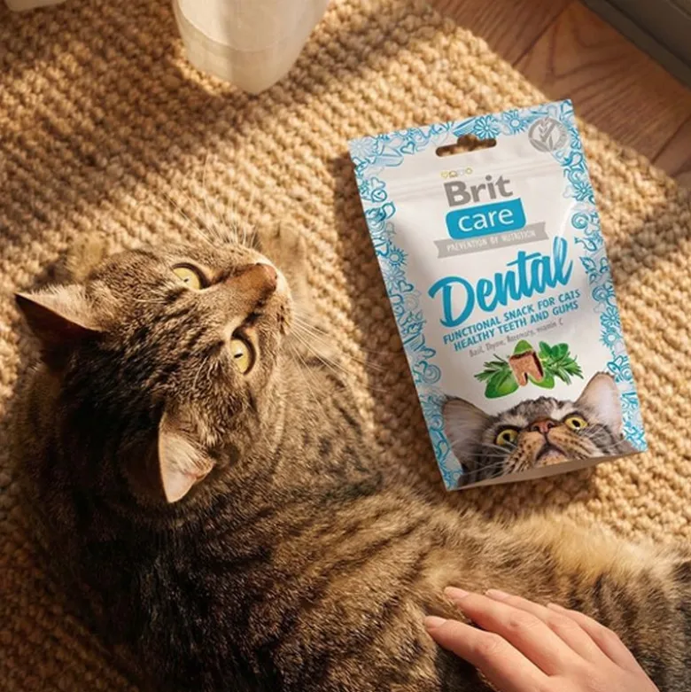 Brit Care Dental Kattesnacks