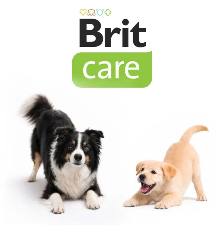 Brit Care Dog Functional Dental Snack Hjort