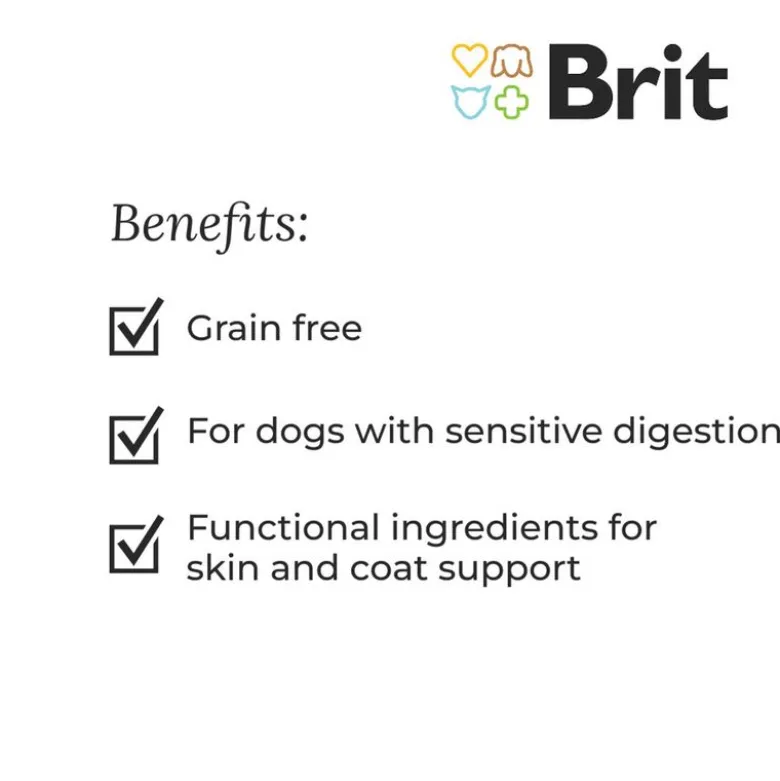 Brit Care Dog Grain-free Junior Large Breed laks & kartoffel