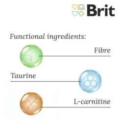 Brit Care Dog Grain-free Senior & Light Laks & Kartoffel