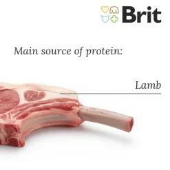Brit Care Dog Hypoallergenic Puppy Lam & Ris