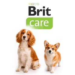 Brit Care Dog Hypoallergenic Senior lam & ris