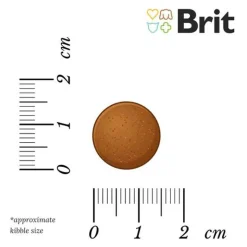 Brit Care Grain-Free Adult Large Breed laks & kartoffel