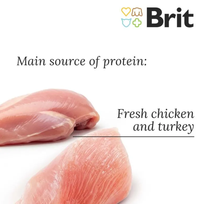 Brit Care Grain-Free Kitten Healthy Growth & Development