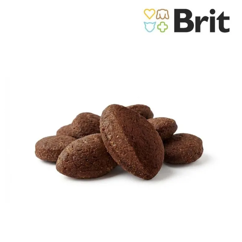 Brit Care Kattesnacks Superfruits & Laks