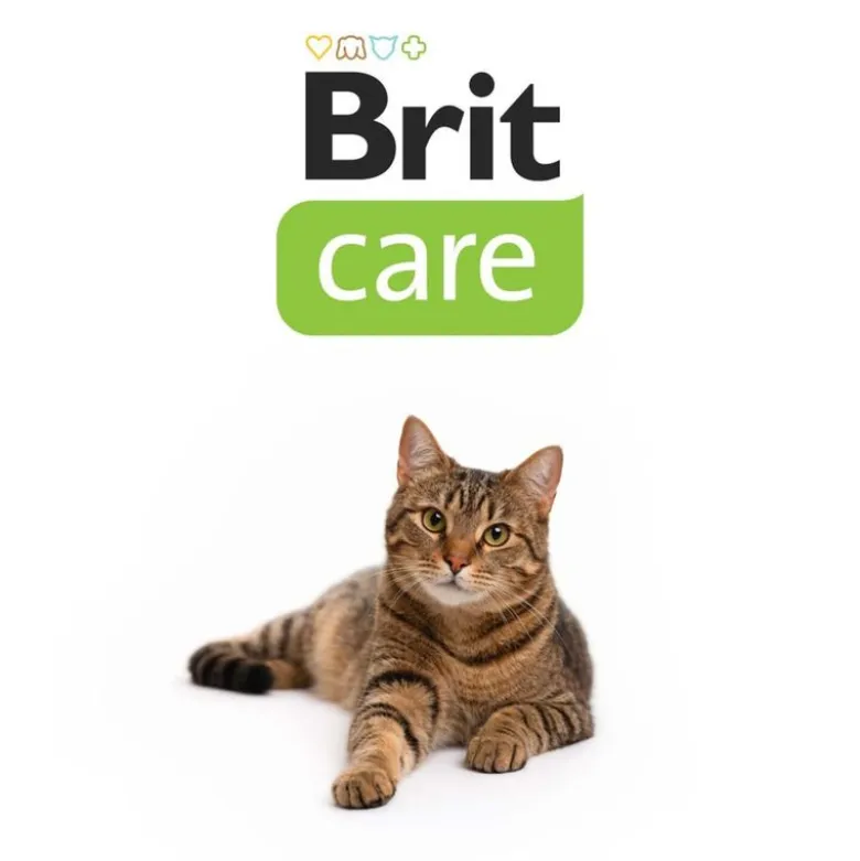 Brit Care Kattesnacks Superfruits & Kylling