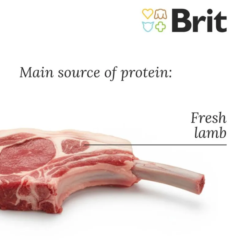 Brit Care Mini Grain Free Adult Lam