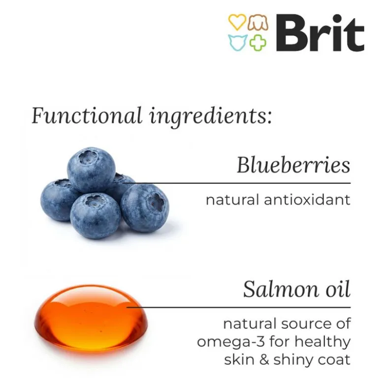 Brit Care Mini Grain Free Adult Lam