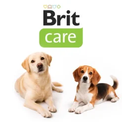 Brit Dental Stick Immuno med probiotika & kanel