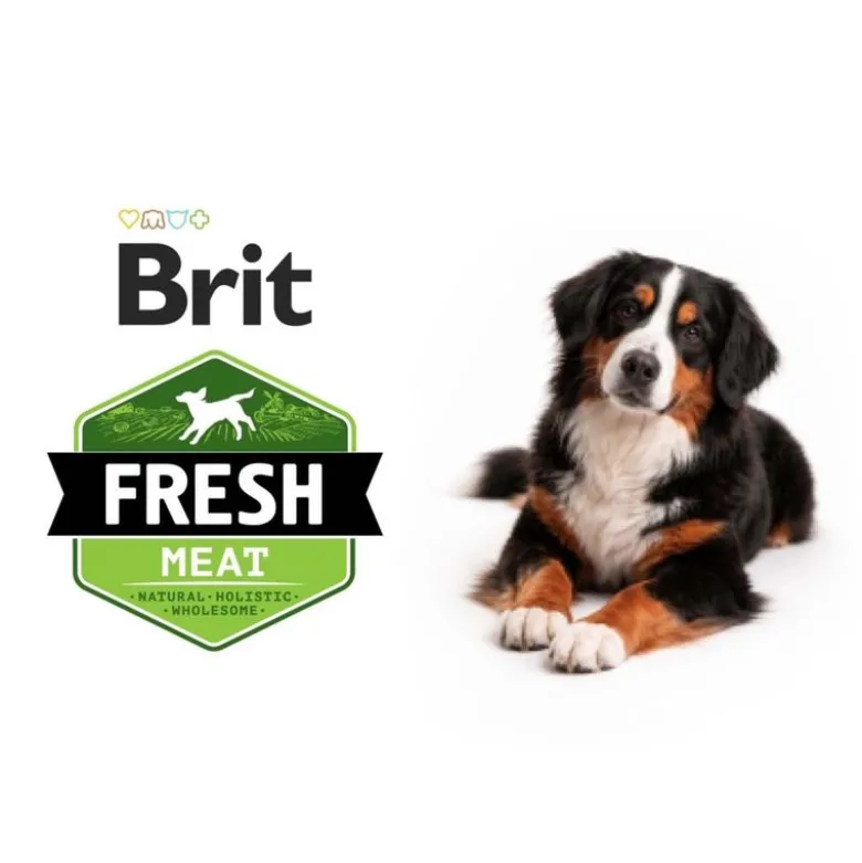 Brit Fresh And & Hirse Active Run & Work